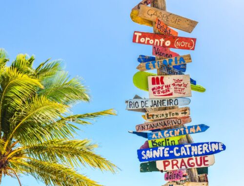 Profitez des avantages pour les membres de l’ACJCS cet été